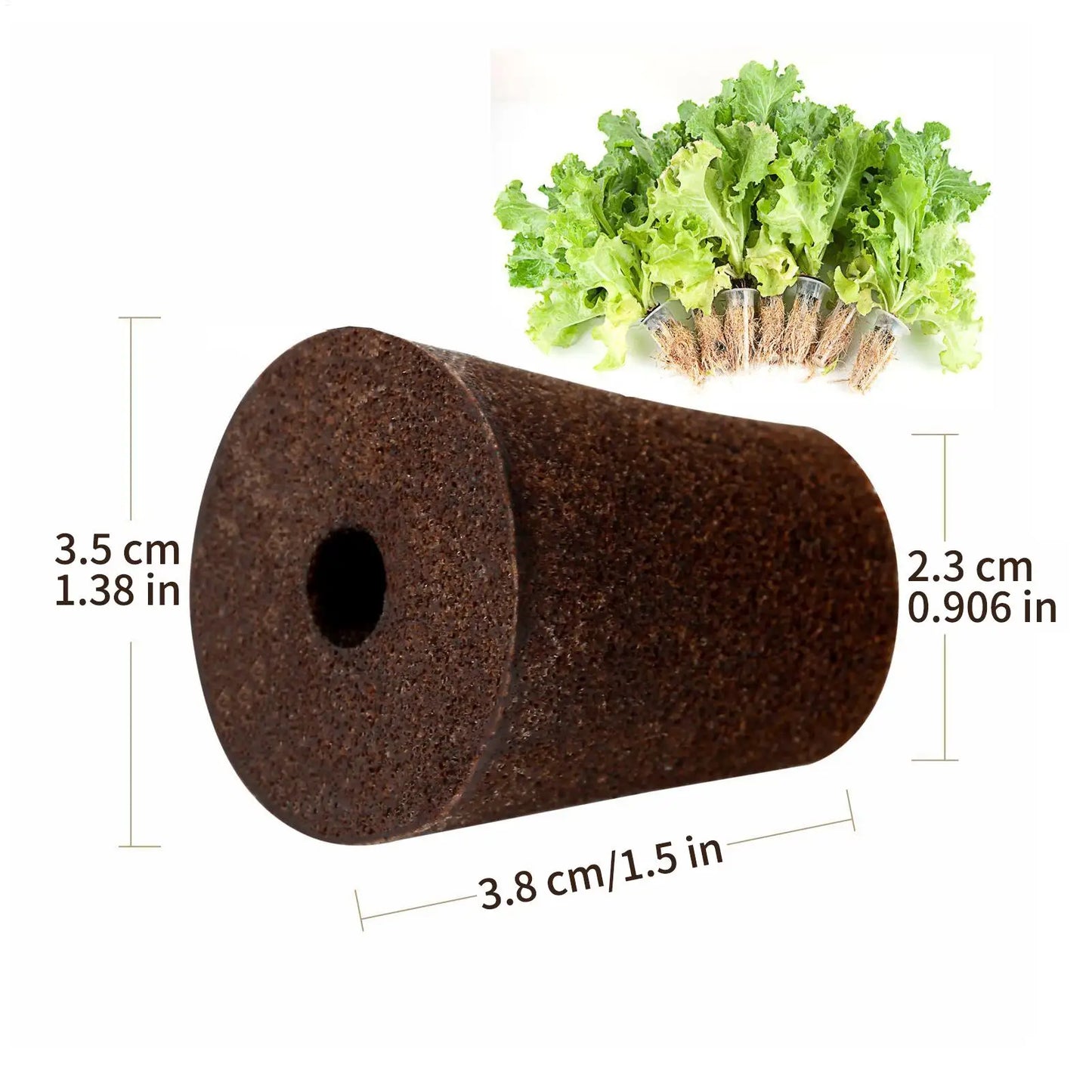 50-Pack Hydroponic Grow Sponges | Seedling Starter Plugs