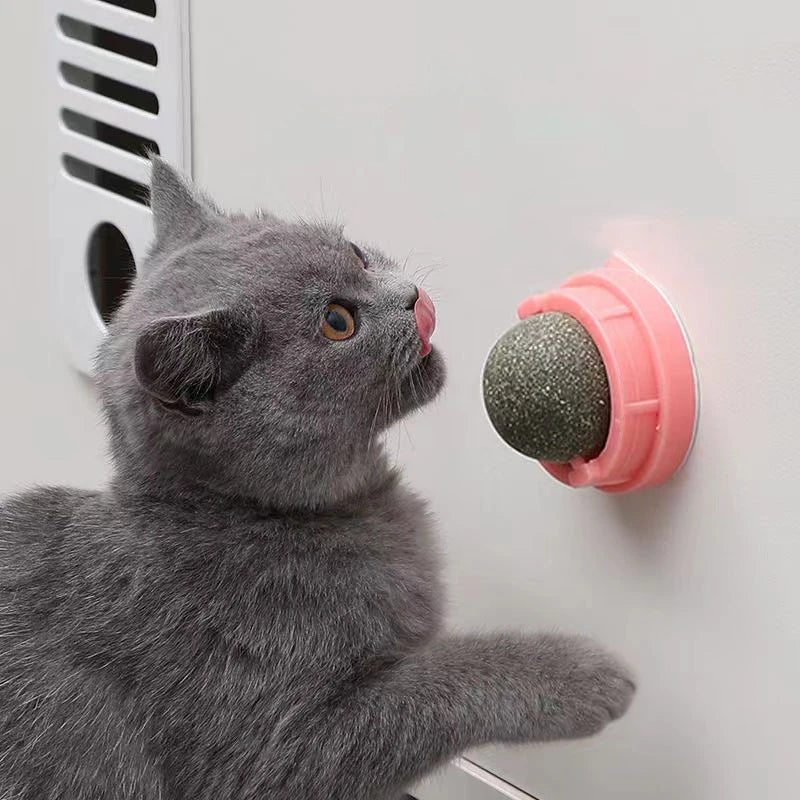 Rotating Catnip Ball Toy – Interactive Lick & Teething Toy for Cats