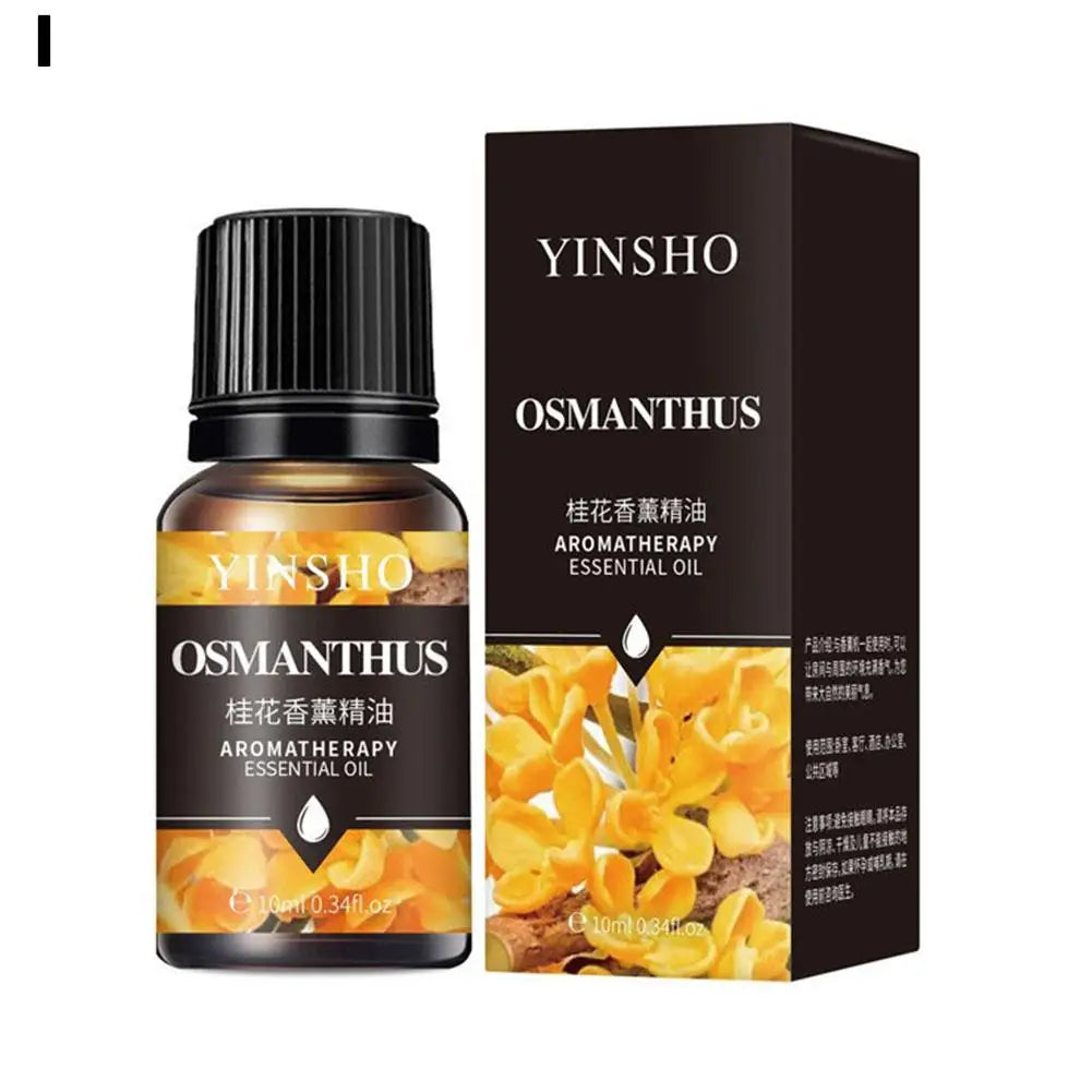 10ml Water-Soluble Essential Oil – Lavender, Rose & Eucalyptus