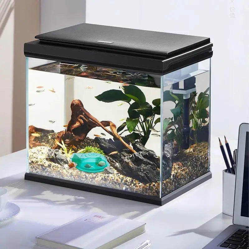 Aquarium Snail Remover Cleaning Supplies Planaria Catcher Water Grass Snail Catcher Clean Accessories Aquarium Cleaning Supplies Peaceful Pleasures Health and Wellness