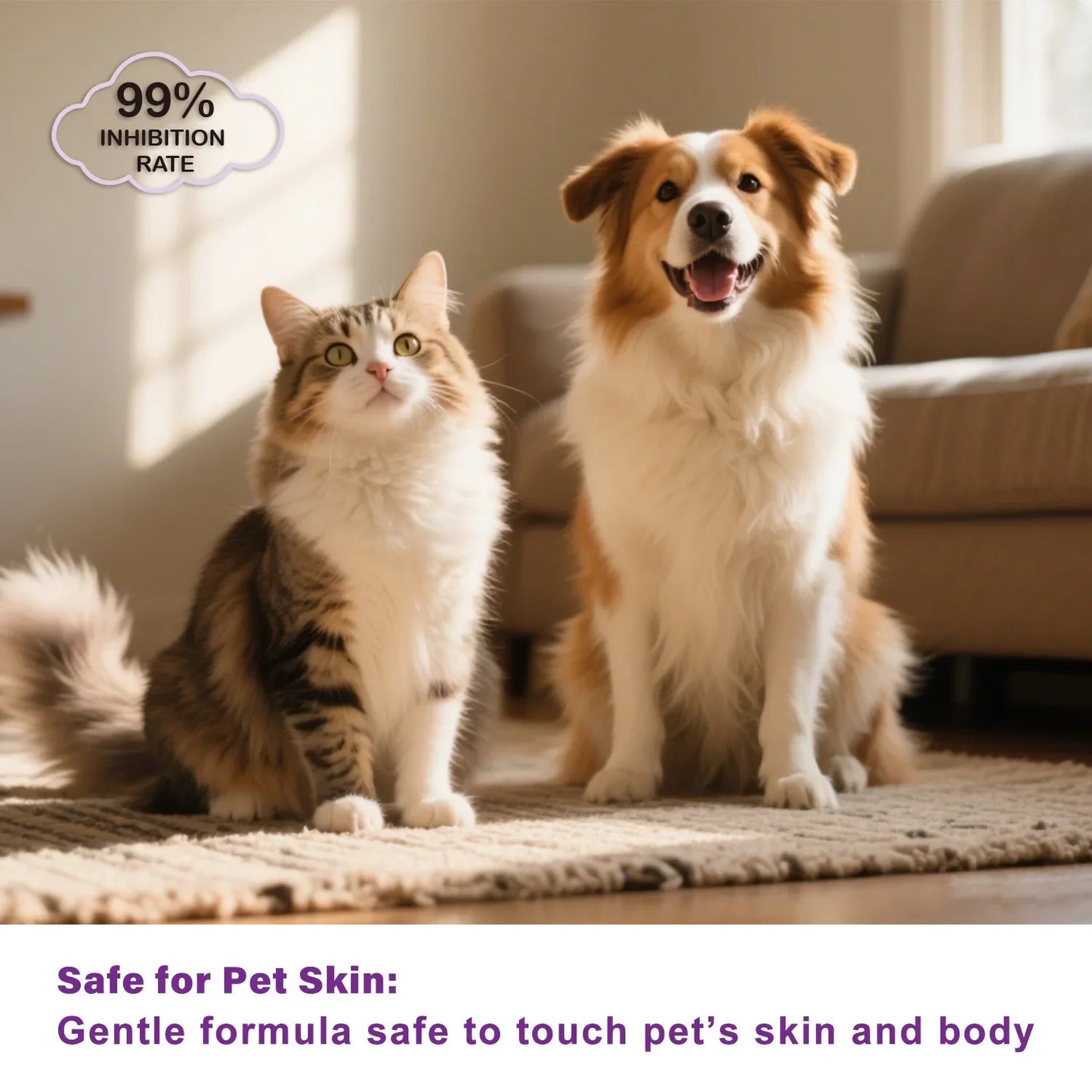 Plant-Based Pet Deodorant Spray Dogs & Cats 300ml | 24H Fresh