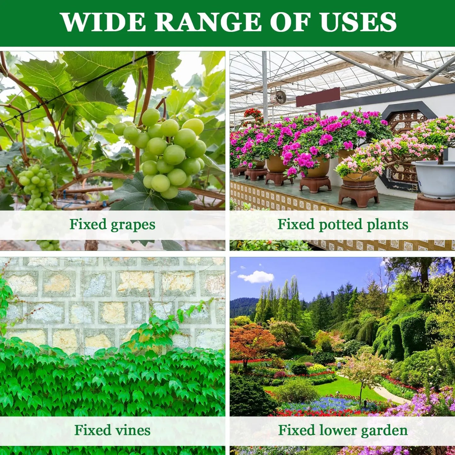 50Pcs 8 Word Buckle Vine Tying Clips Ring Fixing Bracket Garden Plant Holder Tools Garden Decorations Plant Climbing Wall Clips Peaceful Pleasures Health and Wellness