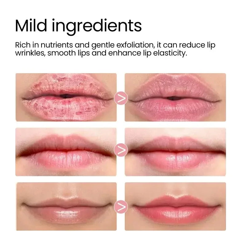 Moisturizing Sleeping Lip Mask Night Lips Care Multiple Colors Cute Makeup Maintenance Lip Anti-Cracking Lip Oil Care Cosmetics Peaceful Pleasures Health and Wellness