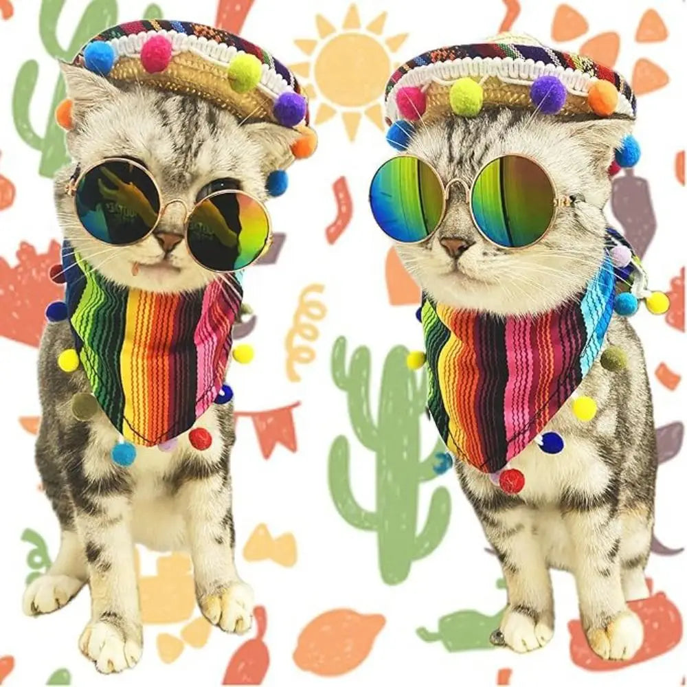 Mexican Pet Hat Scarf & Glasses Costume Set for Small Dogs
