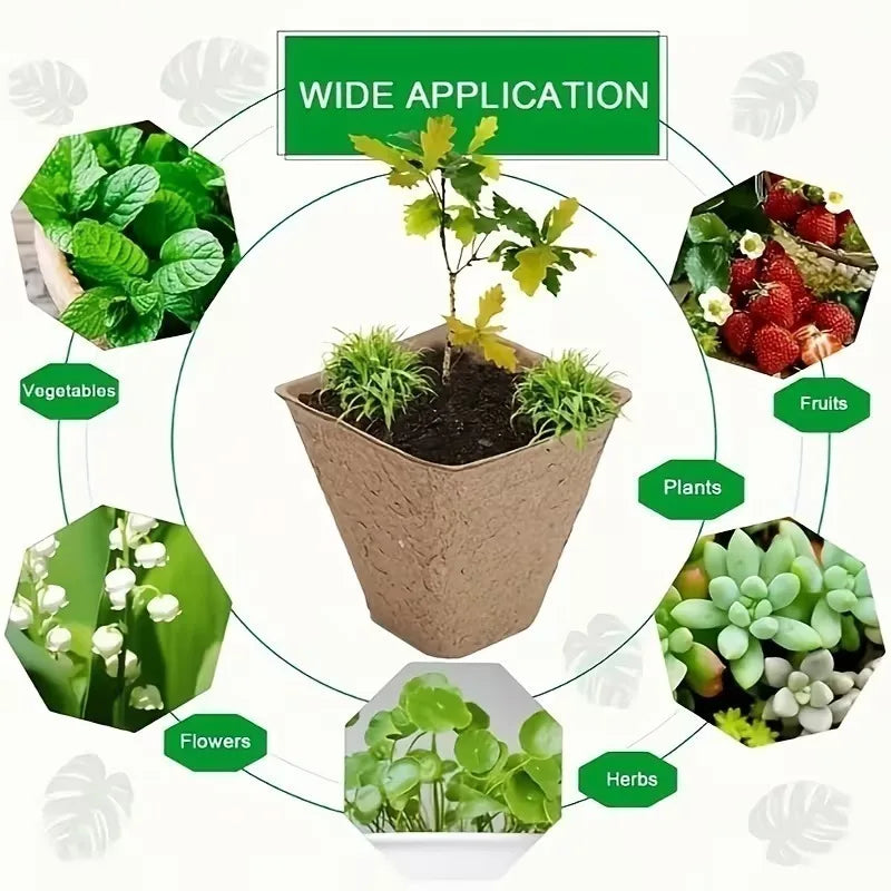 10-Cell Biodegradable Seed Starter Tray | Eco Paper Pulp Pots