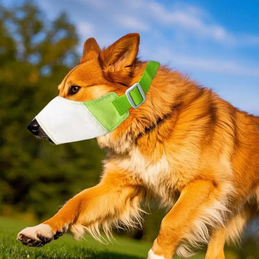 Dog Muzzle for Barking Waterproof Dog Muzzle Mouth Guard Safety Cover Adjustable Pet Supplies Mouth Cover Anti Biting Barking Peaceful Pleasures Health and Wellness China Mainland M