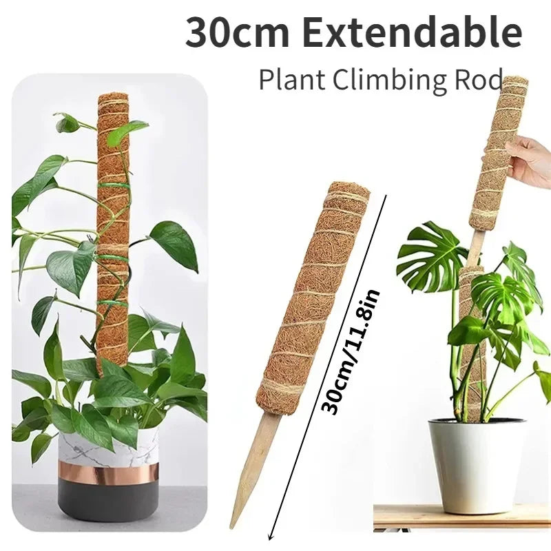 Green Basket Climbing Column Coconut Brown Rod Turtle Back Bamboo Support Rod Fixing Bracket Peaceful Pleasures Health and Wellness 1PC-30cm