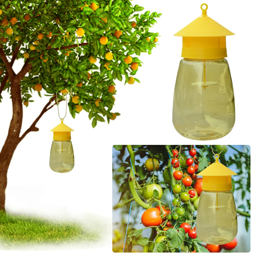 Reusable Fruit Fly Trap for Orchards & Gardens Peaceful Pleasures Health and Wellness