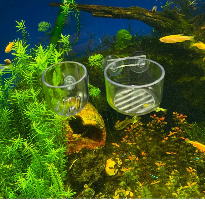 Acrylic Aquarium Plant Pot Cup with Suction Cups | Fish Tank Decor