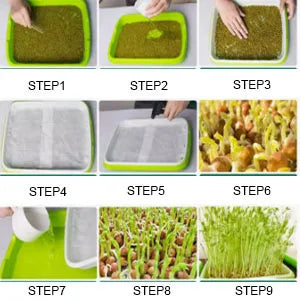 Microgreens Sprouter Tray Hydroponic/Sprouting Tray For Sprout Horticultural Hydroponic Systems Tray Garden Nursery Potted Peaceful Pleasures Health and Wellness