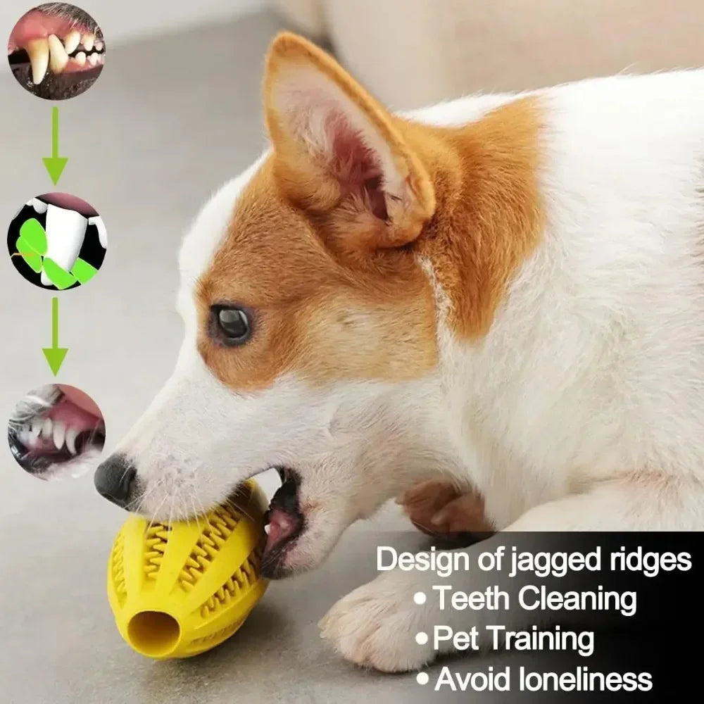 Pet Dog Toys Chew For Dogs Toy Teeth Cleaning Snack Ball Natural Rubber Super Hard Pets Products Accessories Supplies Home Peaceful Pleasures Health and Wellness