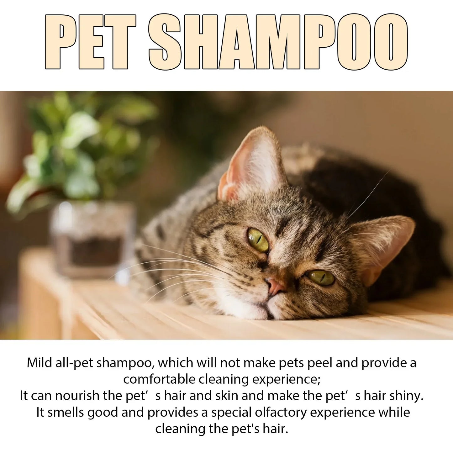 Pet Shampoo Cats and Dogs Gentle Cleansing Natural Formula Smooth Non Tangling Fur Fragrance Moisturizing Pet Grooming Supplies Peaceful Pleasures Health and Wellness
