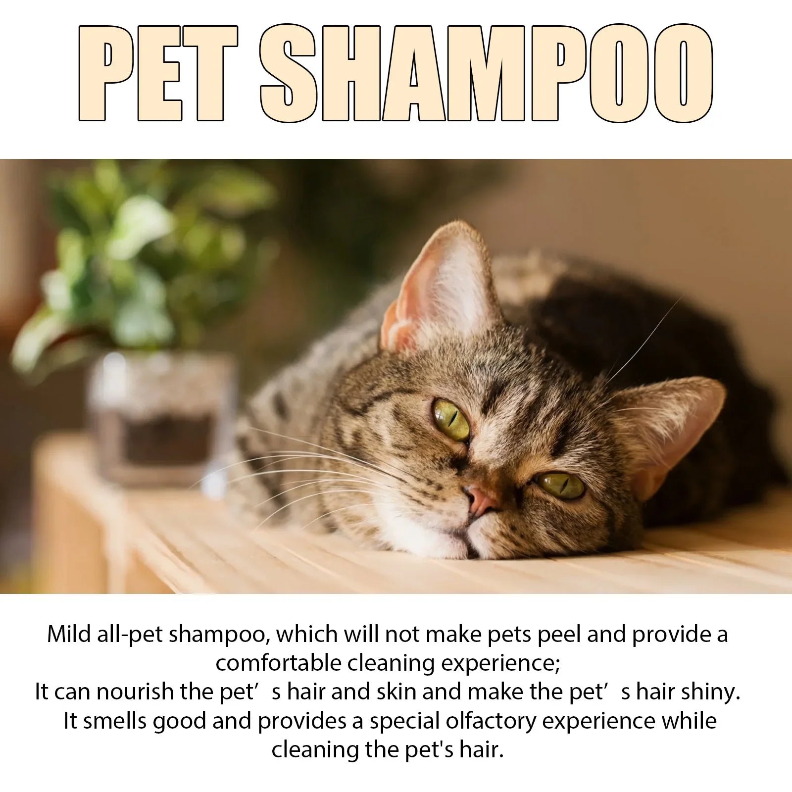 Pet Shampoo Cats and Dogs Gentle Cleansing Natural Formula Smooth Non Tangling Fur Fragrance Moisturizing Pet Grooming Supplies Peaceful Pleasures Health and Wellness