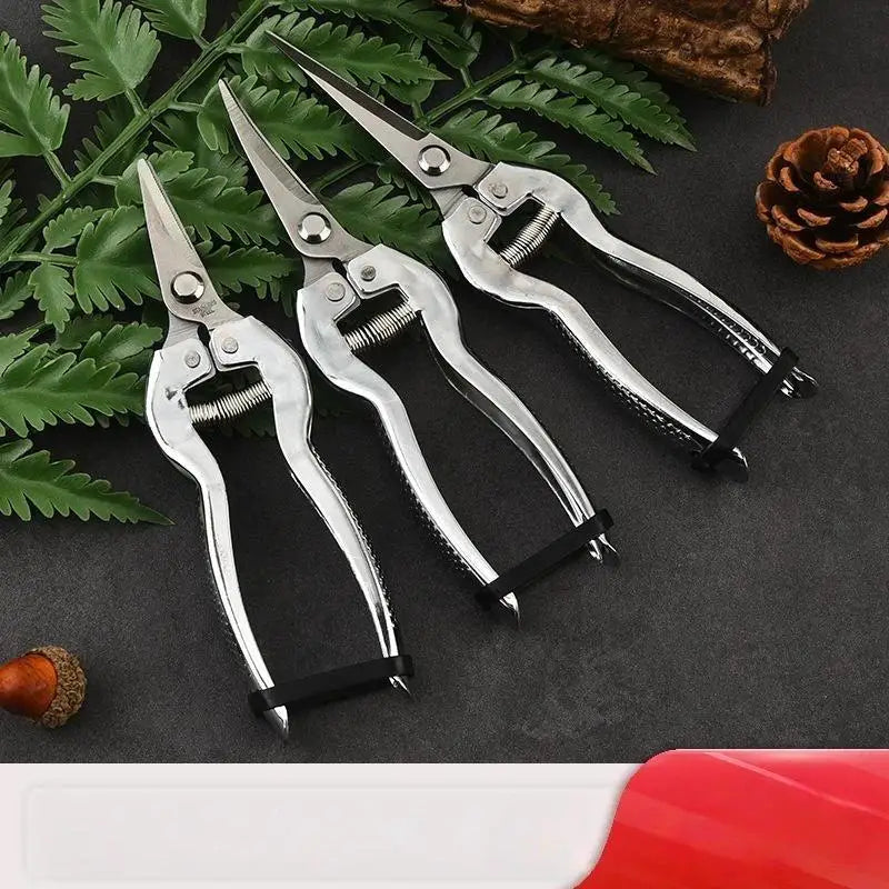 Stainless Steel Pruning Shears | Sharp Blades, Non-Slip Handle