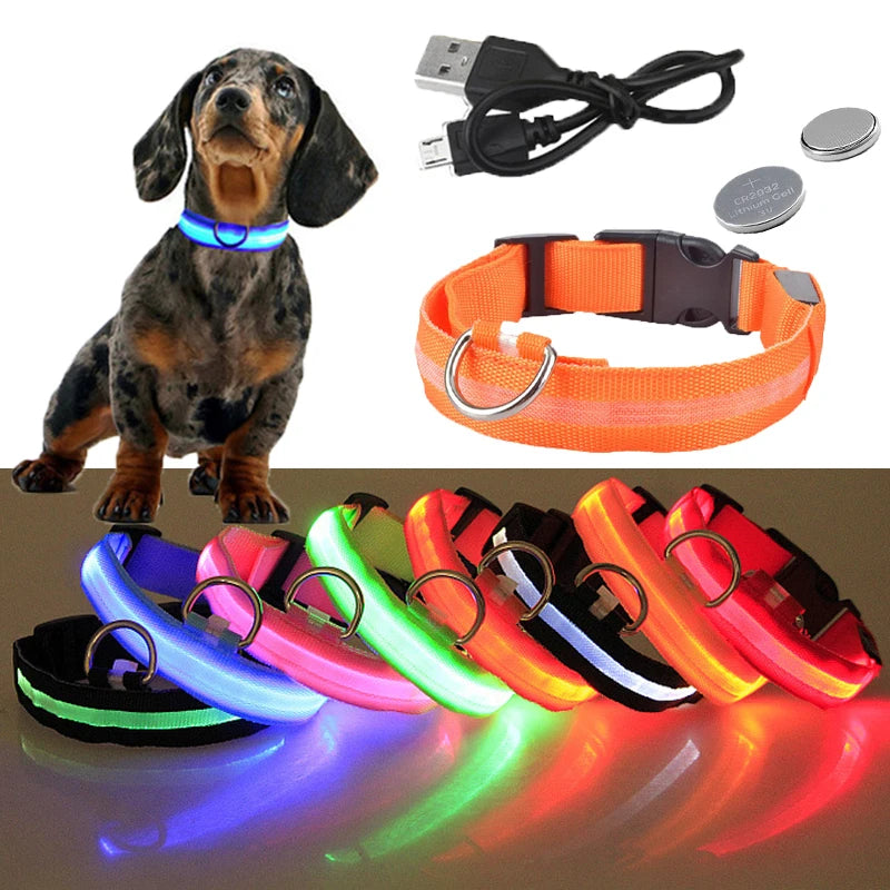 Colorful USB Rechargeable Pet Dog LED Glowing Collar Luminous Flashing Necklace Outdoor Walking Night Safety Supplies DC05 Peaceful Pleasures Health and Wellness