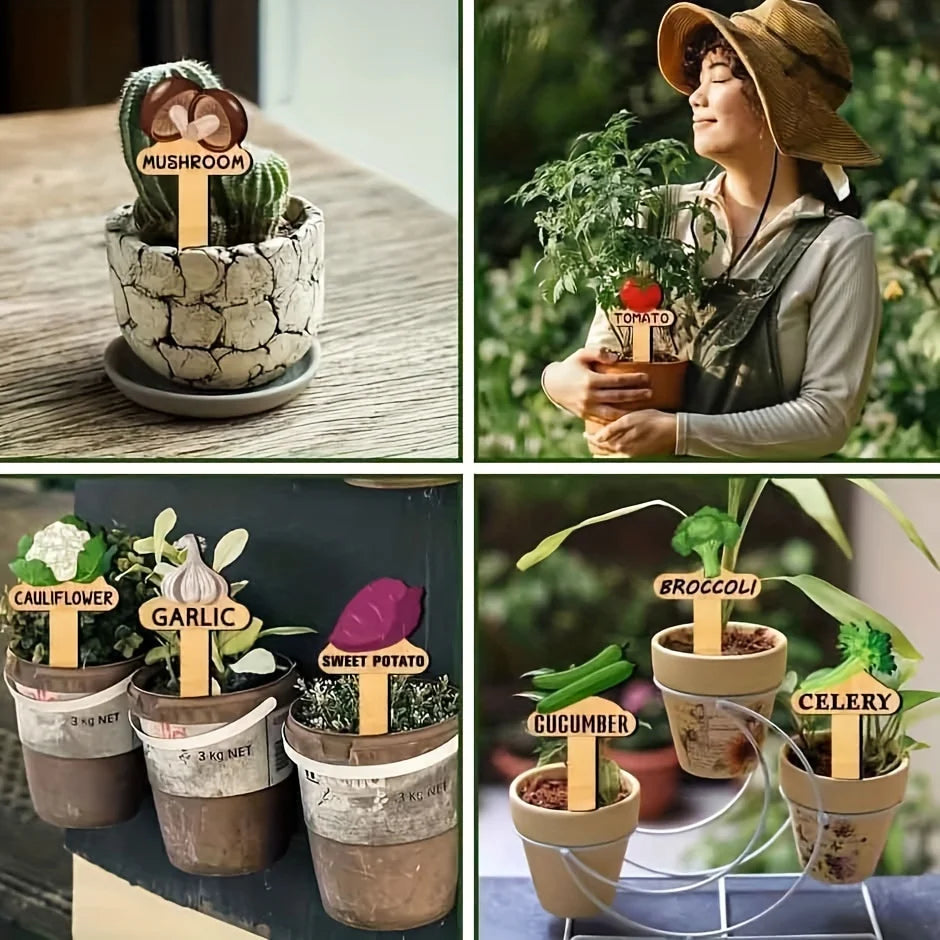 15 Funny Wooden Plant Markers | T-Type Garden Stake Signs