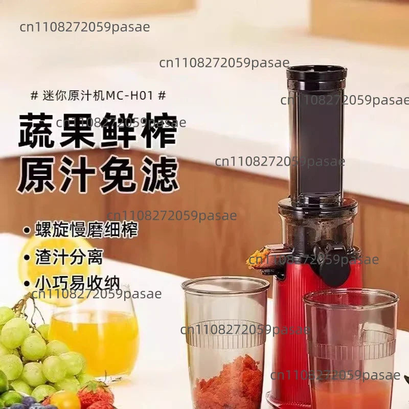 Mini Cold Press Slow Juicer with Pulp Separator | Oasis Select