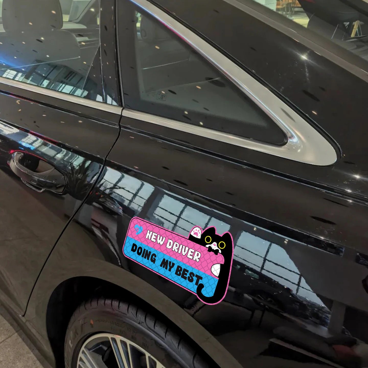 3-Pack Funny Cat New Driver Reflective Magnetic Car Signs