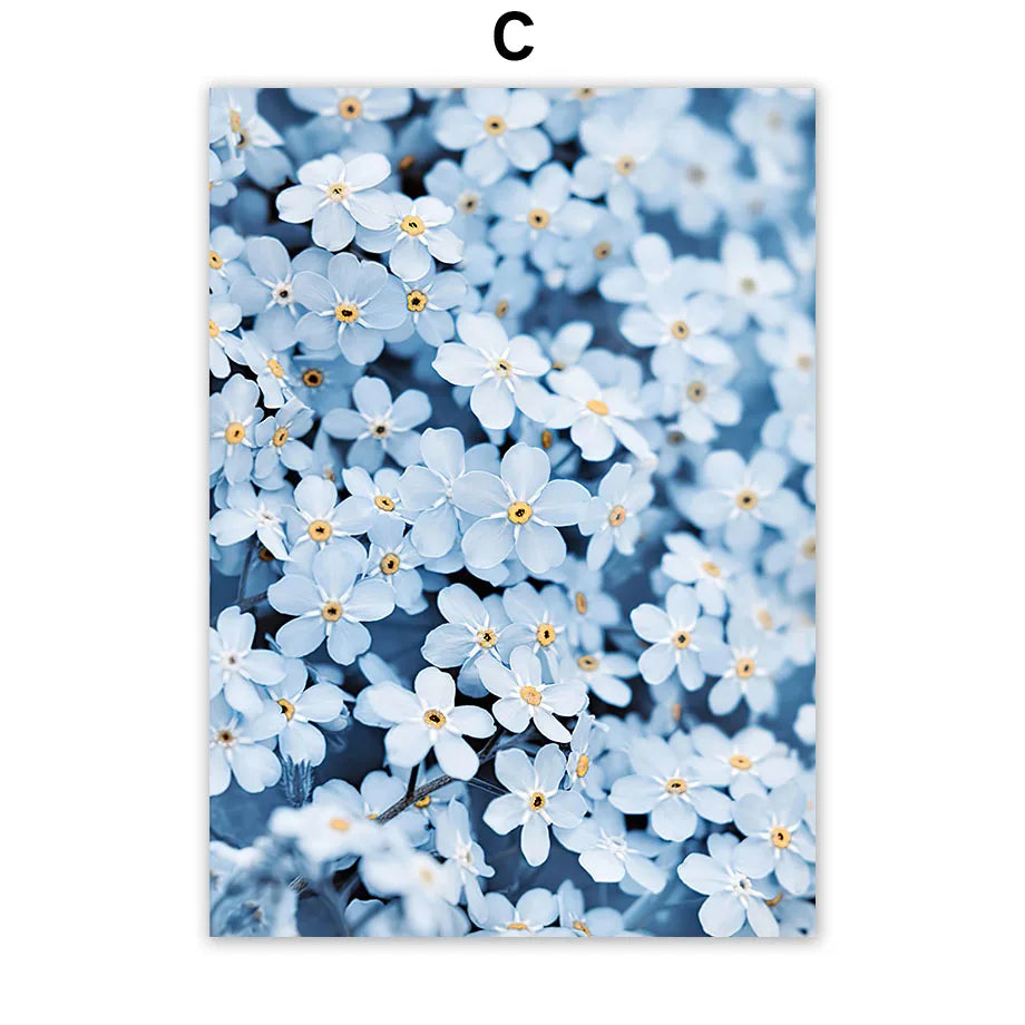 Santorini Morocco Door Flower Canvas Wall Art | Nordic Print