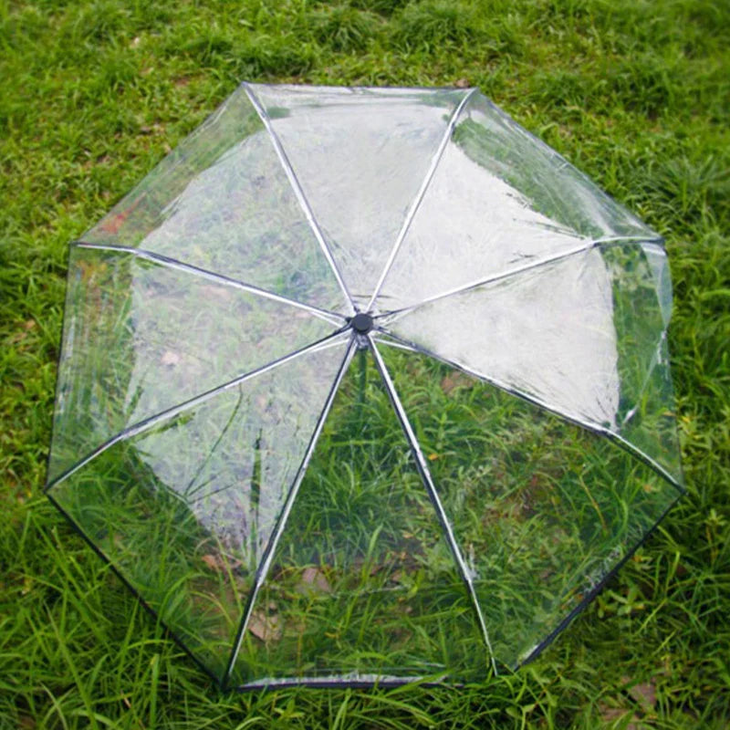Foldable Transparent Umbrella – Auto Open, Wind-Resistant 3-Fold