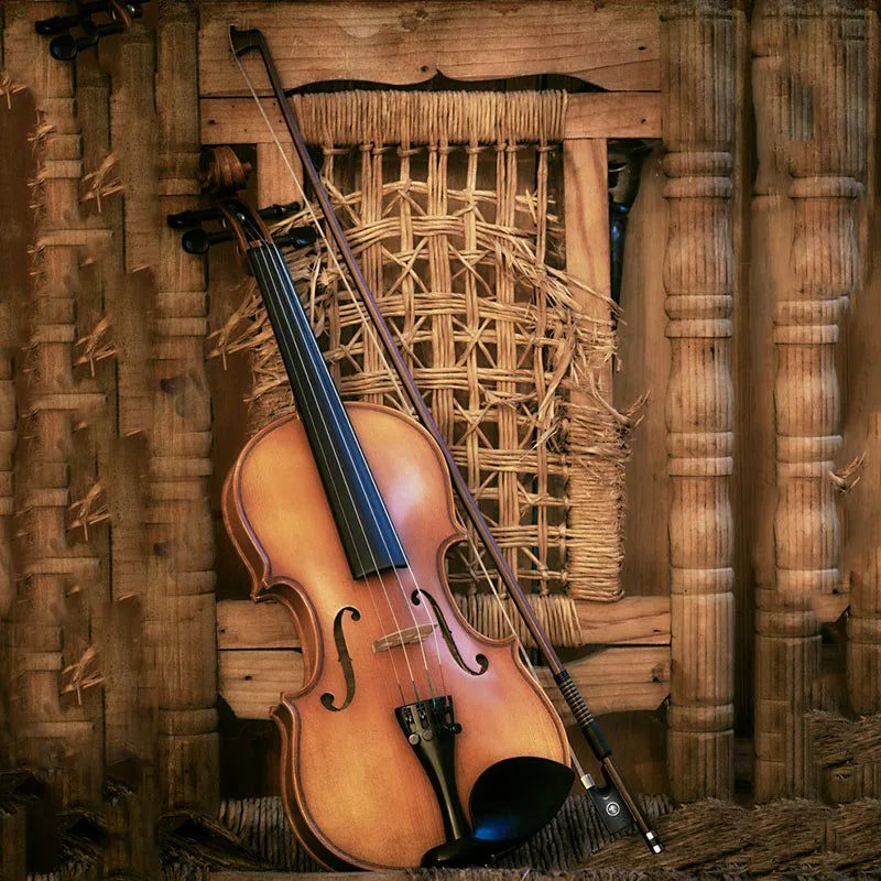 Violin Bow Violin Player Learner Violin Accessories Musical Instruments Suitable For Violin Shops Kids Beginners Music Schools Peaceful Pleasures Health and Wellness