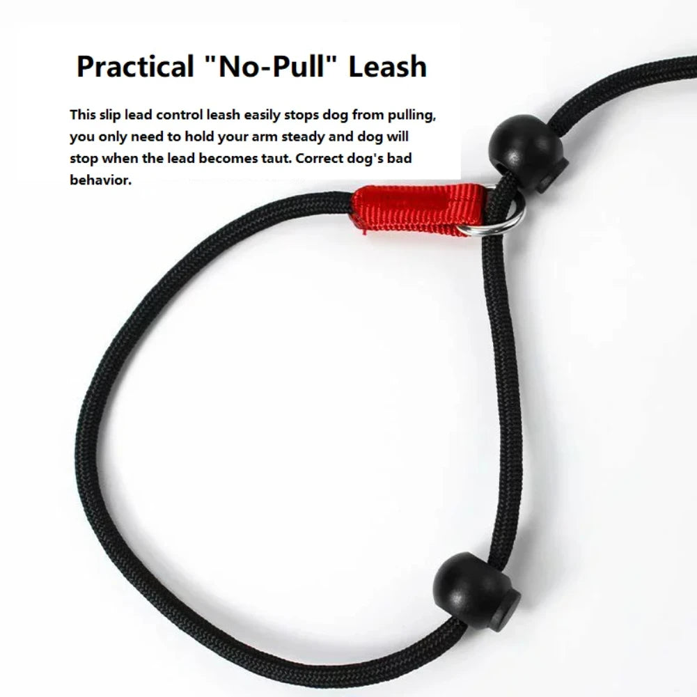2-in-1 Slip Lead Dog Training Leash & Collar – 150cm Nylon