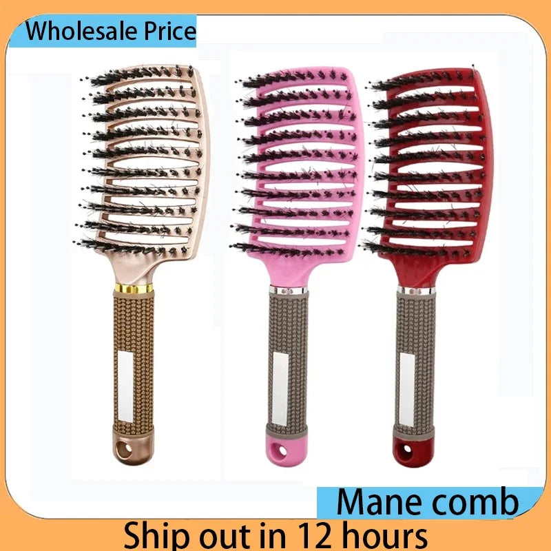 2026 Wet Detangling Hair Brush Bristle & Nylon Comb Curly Hair Styling Tool Portable Salon Massage Hairdressing Accessories Peaceful Pleasures Health and Wellness