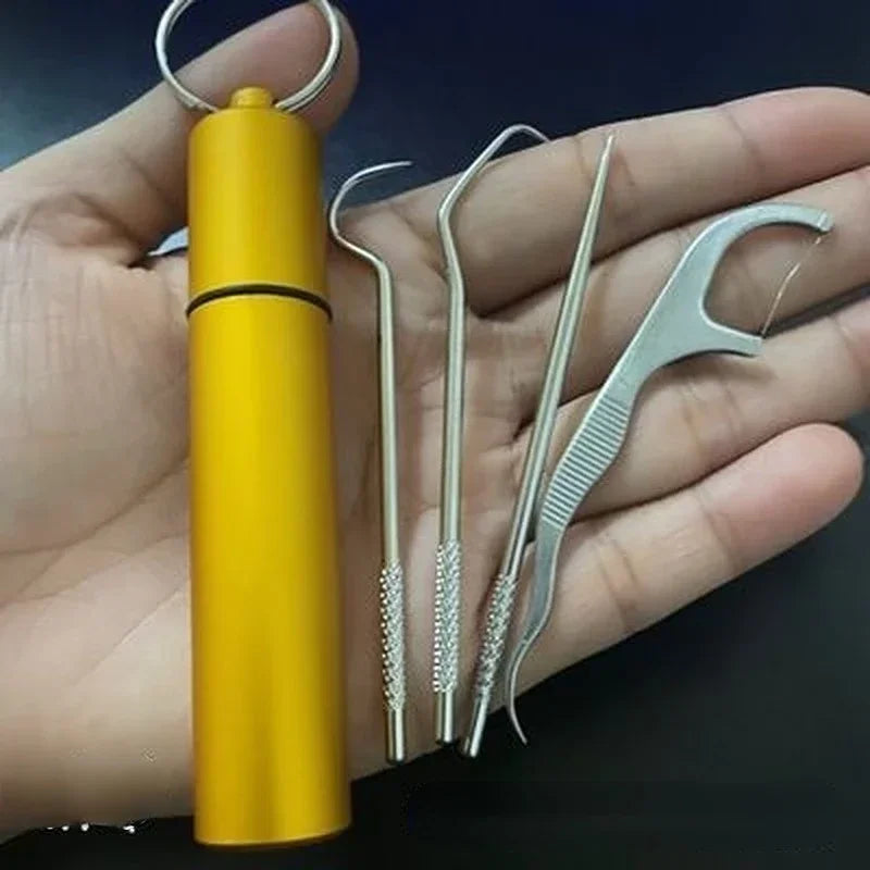 1Set Toothpick Set Metal Stainless Steel Oral Cleaning Tooth Flossing Portable Toothpick Floss Teeth Cleaner with Storage Tube Peaceful Pleasures Health and Wellness