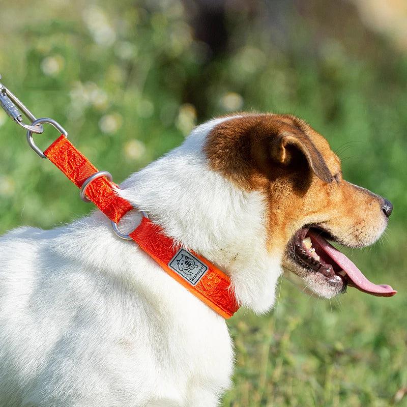 TRUELOVE Pet Collar Nylon Webbing P-chain Explosion-proof Neoprene Padding Pets Running Training Large Medium Small Dogs YC1851 Peaceful Pleasures Health and Wellness