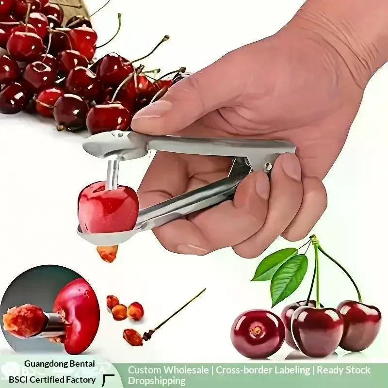 Stainless Steel Cherry & Jujube Corer – Fruit Pit Remover Tool