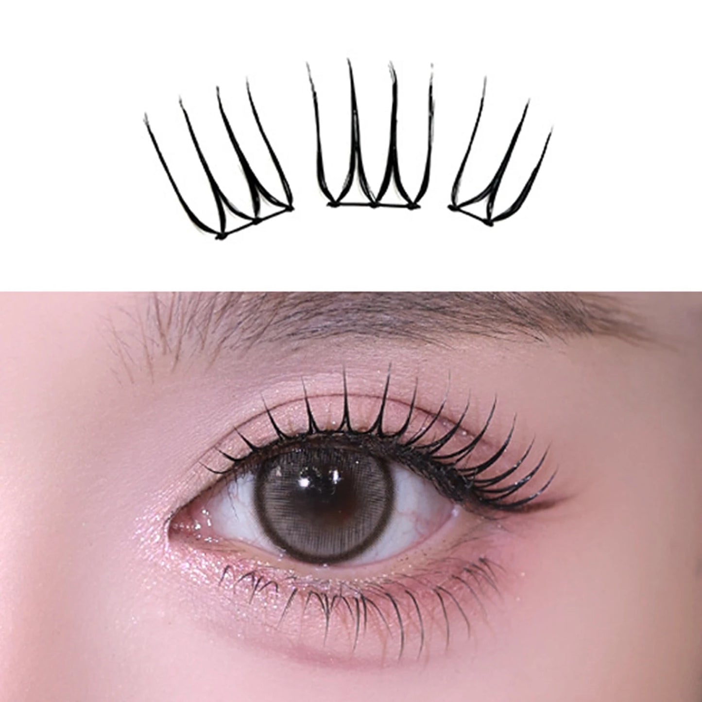 C Curl 8–12mm Wispy DIY Eyelash Clusters | Black Stem