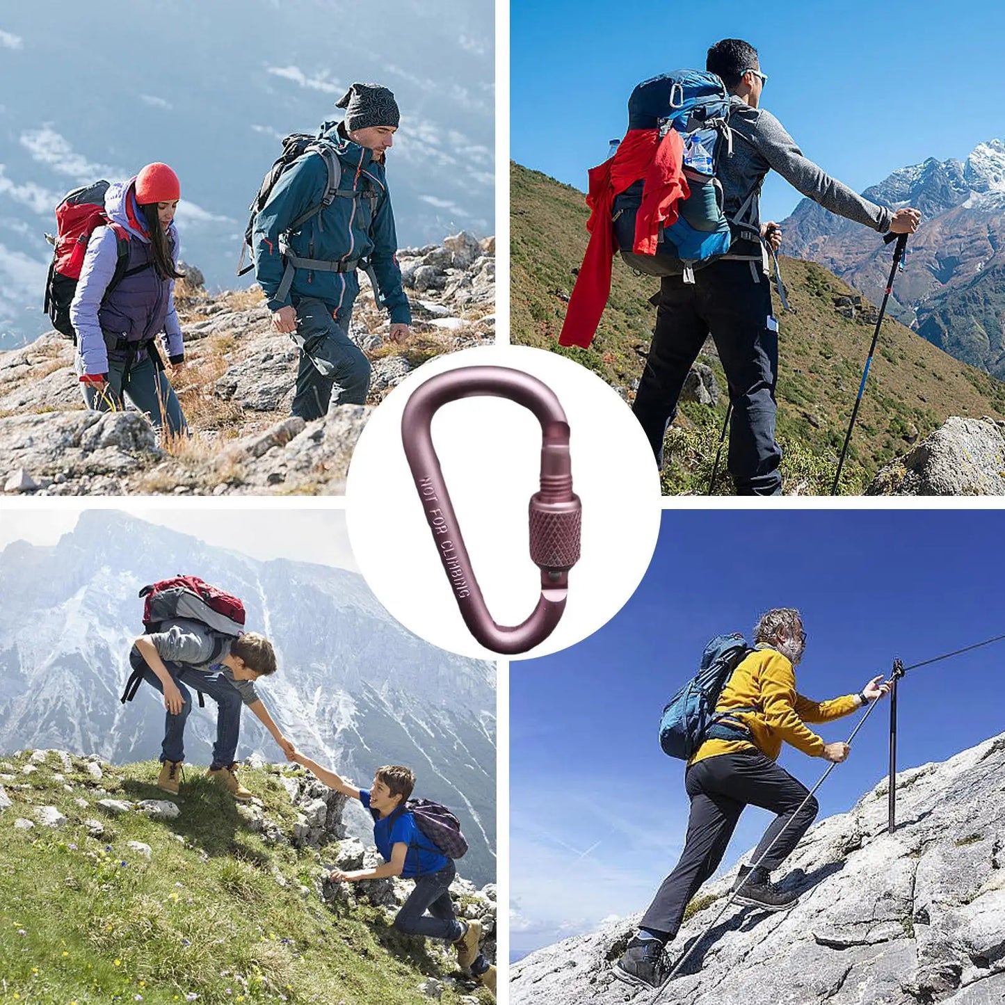 Aluminum Alloy D-Shape Locking Carabiner – Camping & Hiking