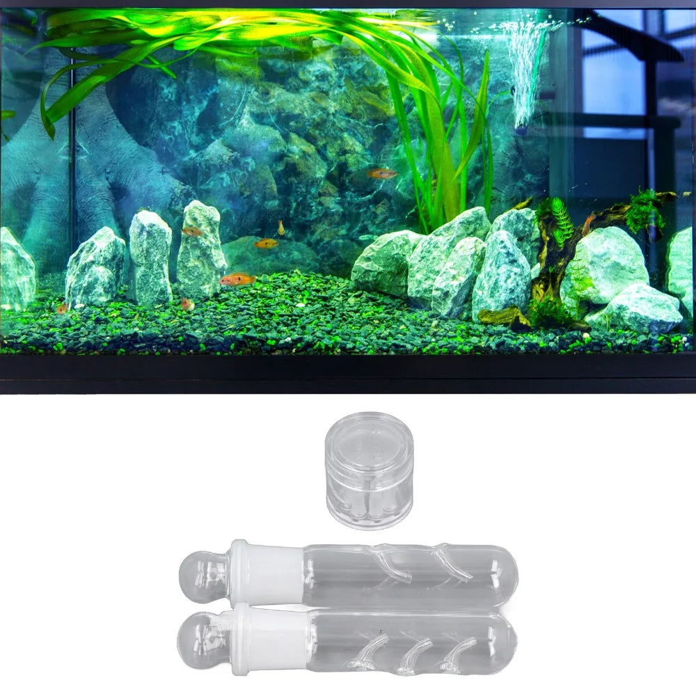 3-Pack Glass Planaria & Leech Trap Set | Aquarium Shrimp Tank