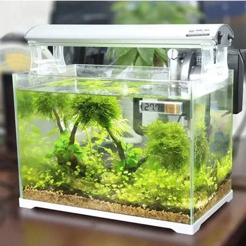 LCD Digital Aquarium Thermometer | Fish Tank Temp Meter