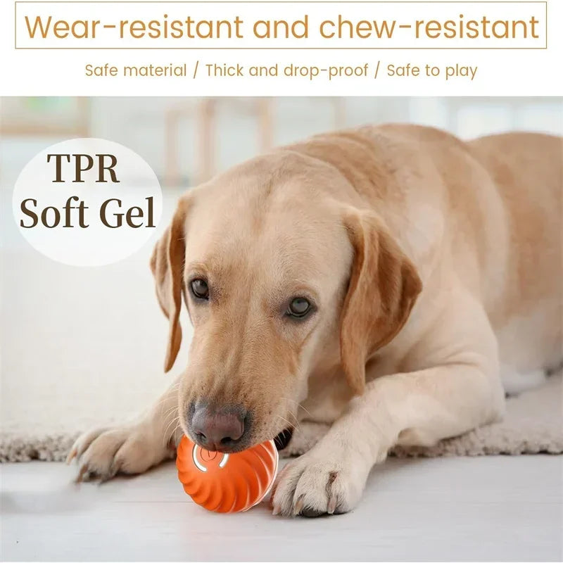 USB Rechargeable Interactive Bouncing Ball for Dogs & Cats
