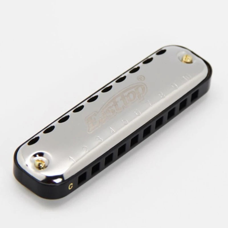 10-Hole Blues Harmonica Key C Adult Beginner Pocket Instrument Gray