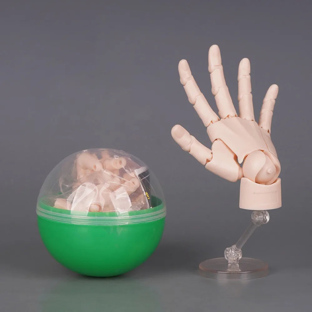 1:2 Scale Articulated Hand Model – Posable Fingers for Artists
