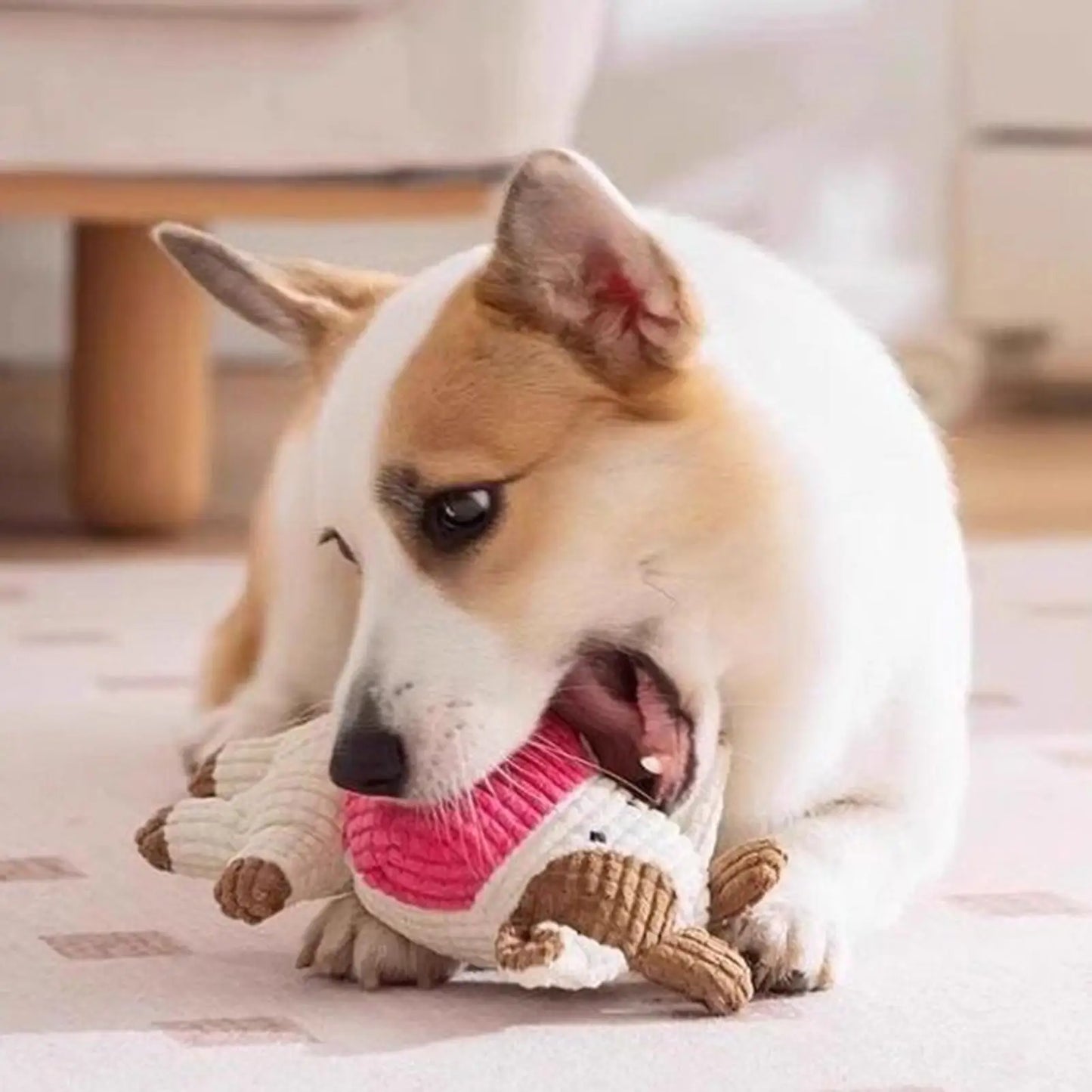Squeaky Plush Dog Toy – Interactive Puppy Chew Doll