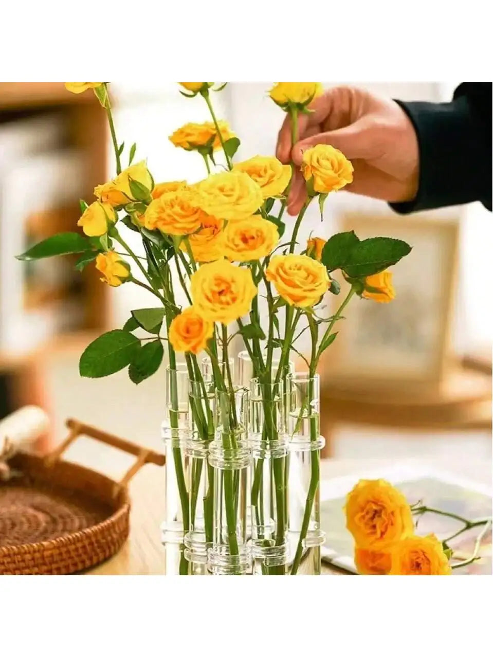 Glass Test Tube Hanging Vase Set | Hydroponics Home Decor