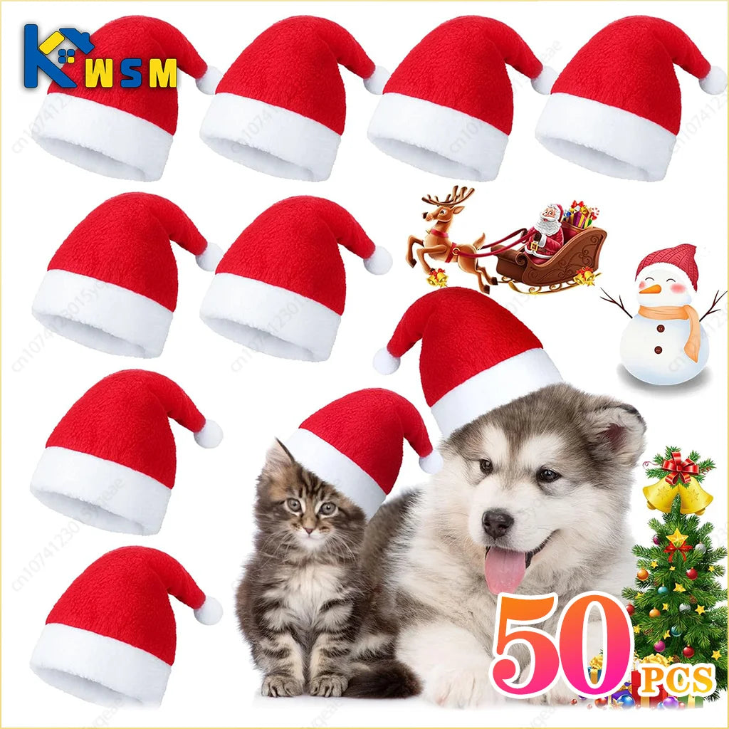 50 Pack Christmas Santa Hats for Dogs & Cats | Pet Costume
