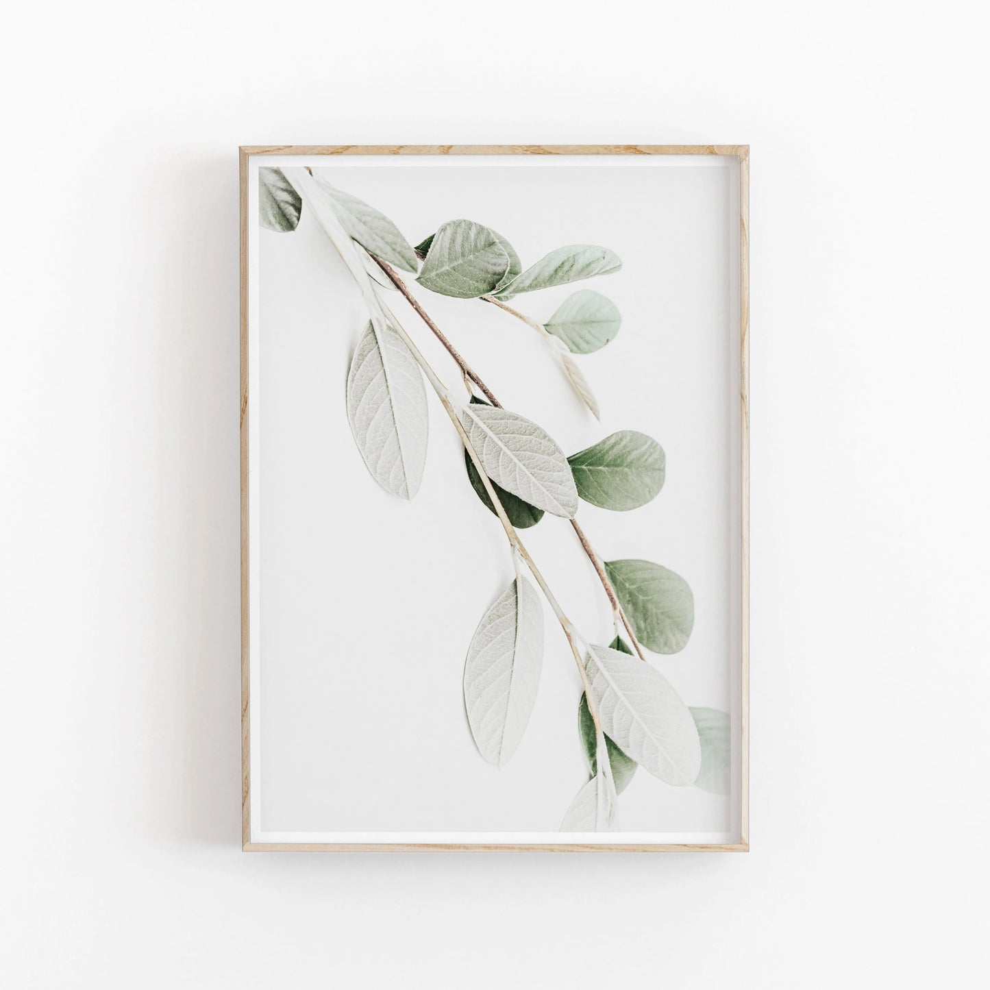 Nordic Botanical Canvas Wall Art – Eucalyptus & Palm Leaves