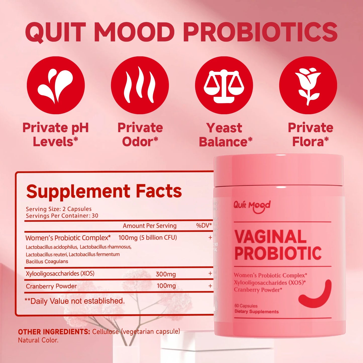 Quitmood Queen's Female-Focused Once-daily Women's complete V- Probiotics for Women - pH Balance, Odor Control, Yeast & Flora Peaceful Pleasures Health and Wellness