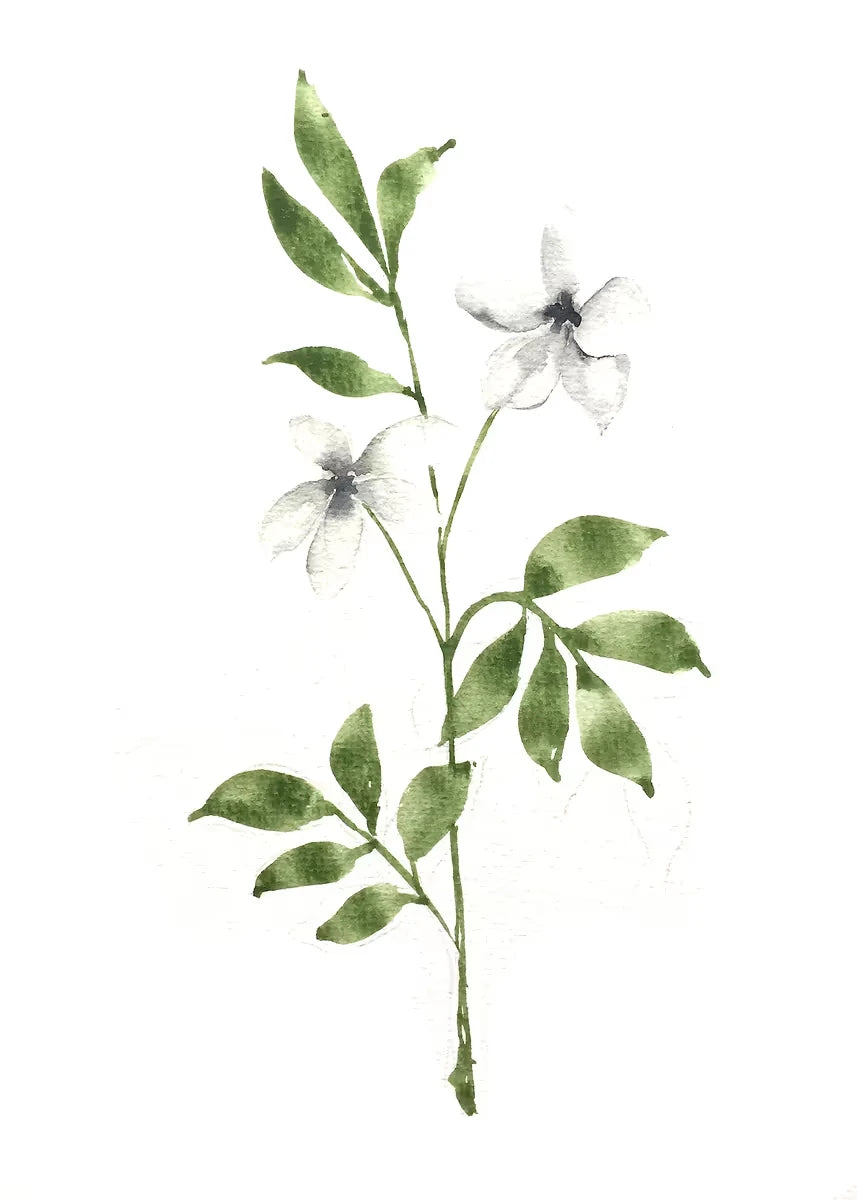 Watercolor Floral Canvas Wall Art Print | Unframed Poster