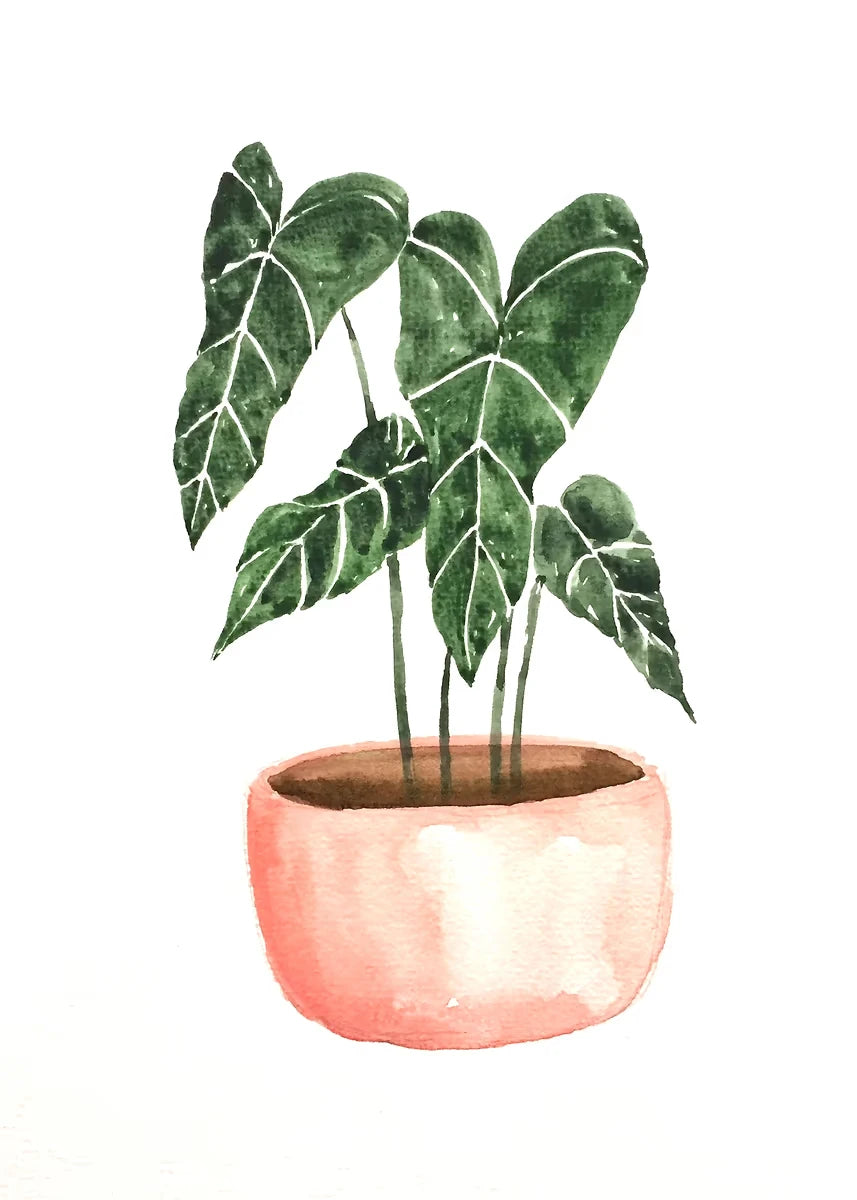Plant Potted Watercolor Poster Family Garden Houseplant Botanical Canvas Printing Wall Art Picture for Living Room Home Decor Peaceful Pleasures Health and Wellness DM92-11 40x60cm Unframed