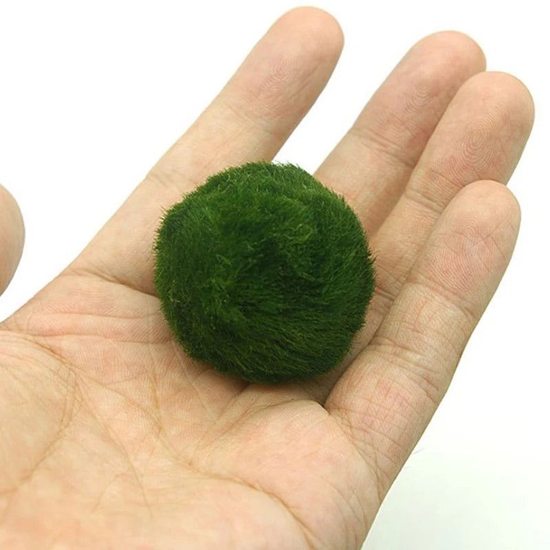 Artificial Marimo Moss Ball 3-4cm | Fish Tank Aquarium Decor