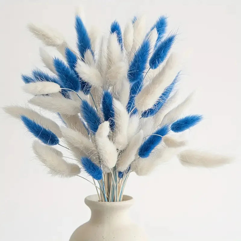 60pcs Dried Bunny Tails Grass | Boho Wedding & Home Décor