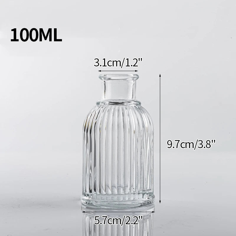 Vintage Transparent Glass Vase | Flower Bottle & Plant Pot