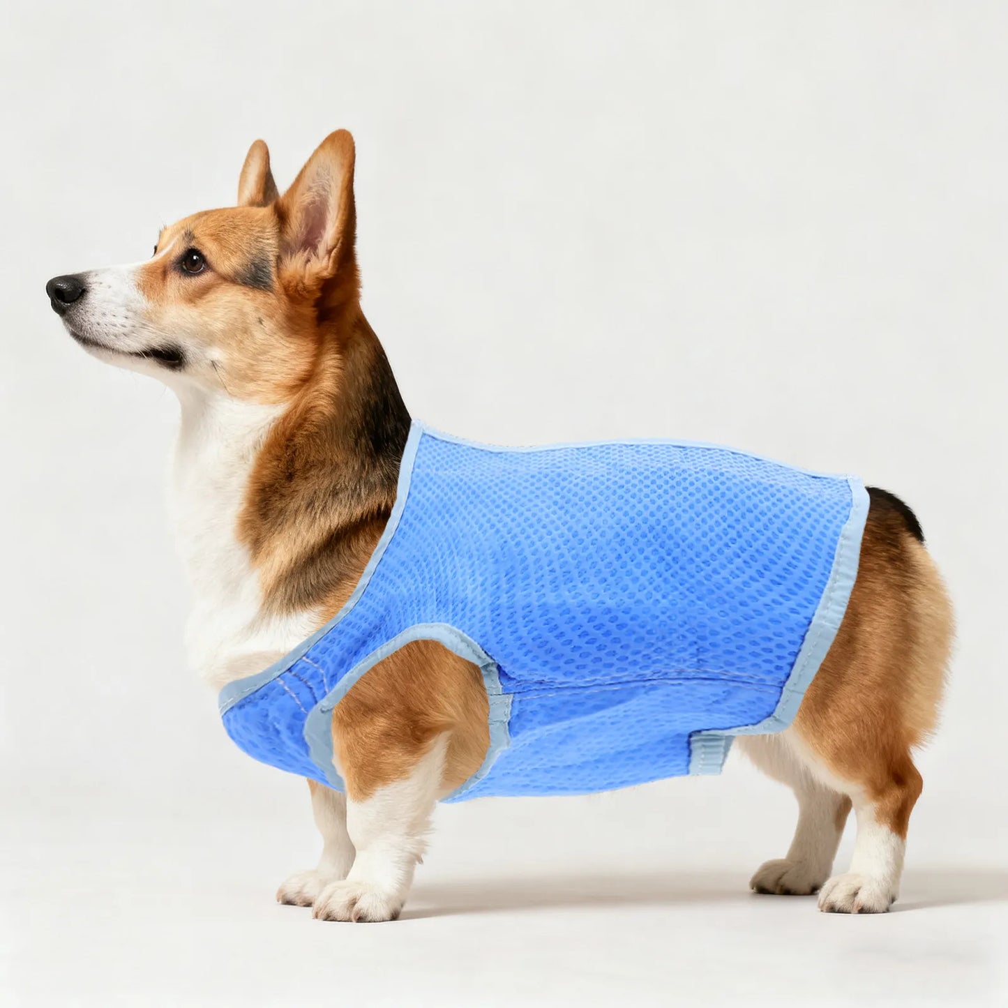 Dog Cooling Vest Ice Mesh Harness Size S Blue Superior Pva Lightweight Breathable Washable Reusable Cooling Shirt for Dogs Peaceful Pleasures Health and Wellness