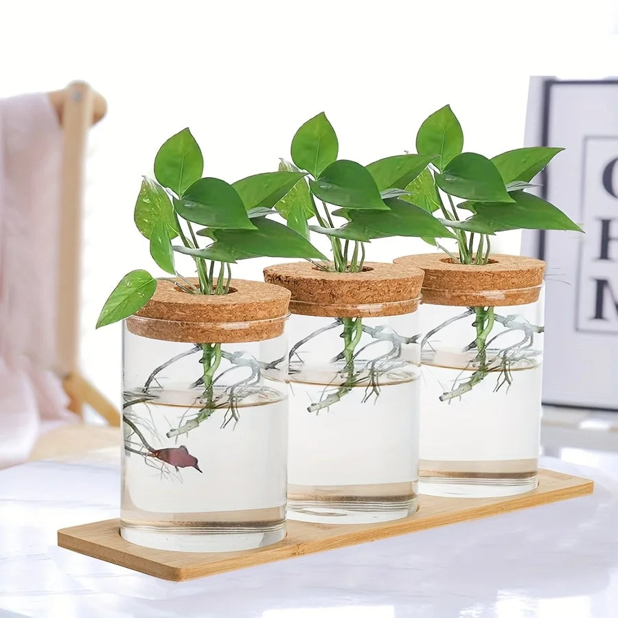 3 Pcs Acrylic Vase with Bamboo Tray – Clear Propagation Station Set for Tabletop Water Planting & Home Decor
