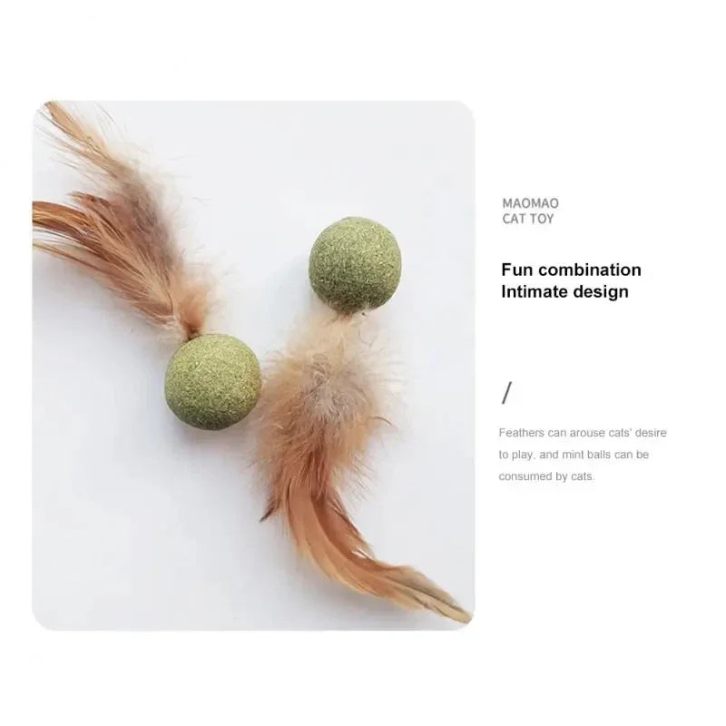 Edible Catnip Ball Cat Toy – Wood, Feather & Teeth Cleaning